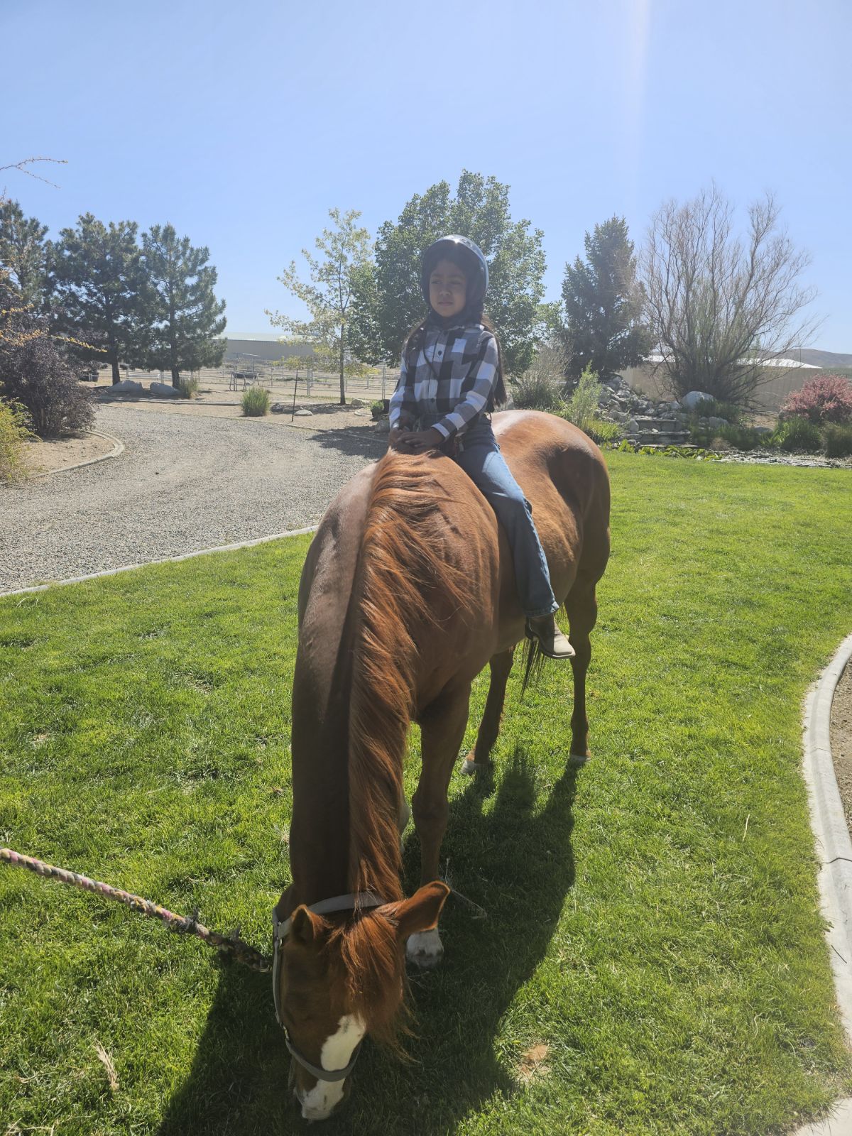 Kid Riding Horse Kid Riding Horse