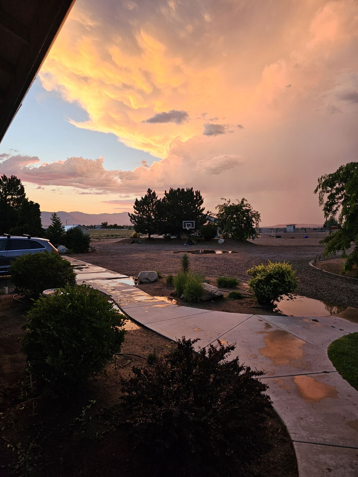 Sky