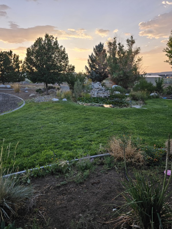 Beautiful picture of a pond