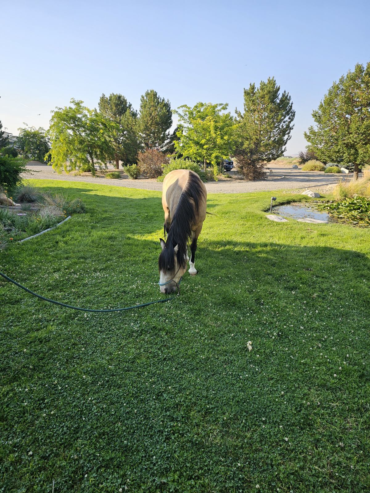 Kid riding horse